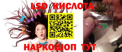 дживик Будённовск